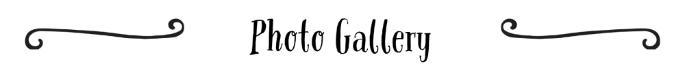 PhotoGalleryHeader